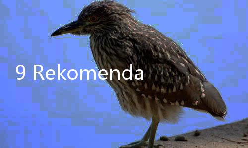 9 Rekomendasi Sarapan Rendah Kalori untuk Menurunkan Berat Badan