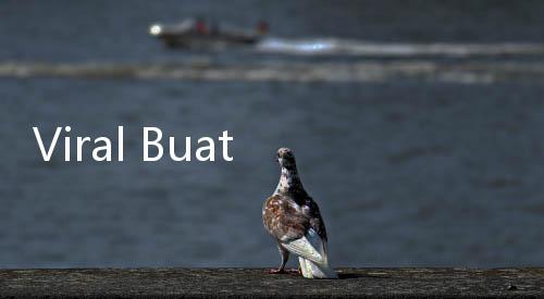Viral Buat 'Chatting', PAP Itu Apa Sih?